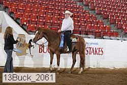 13buck_2061 thumbnail