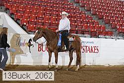 13buck_2062 thumbnail