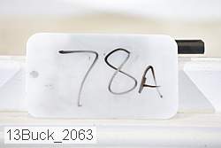 13buck_2063 thumbnail