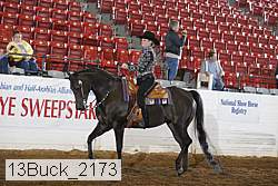 13buck_2173 thumbnail