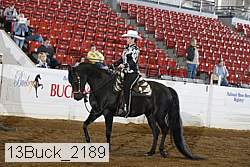 13buck_2189 thumbnail