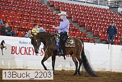 13buck_2203 thumbnail