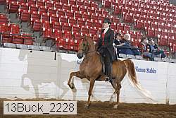 13buck_2228 thumbnail
