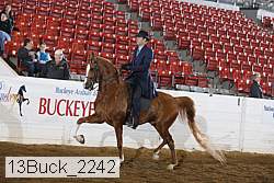 13buck_2242 thumbnail