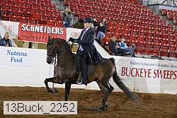 13buck_2252 thumbnail