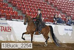 13buck_2254 thumbnail