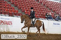 13buck_2302 thumbnail