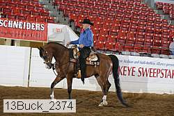 13buck_2374 thumbnail