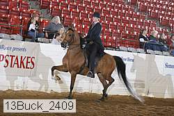 13buck_2409 thumbnail