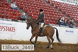 13buck_2449 thumbnail