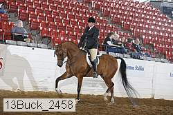 13buck_2458 thumbnail