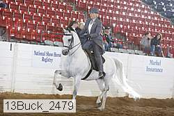 13buck_2479 thumbnail