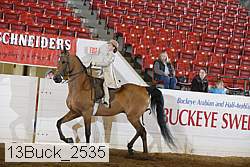 13buck_2535 thumbnail