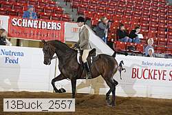 13buck_2557 thumbnail