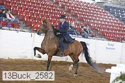 13buck_2582 thumbnail