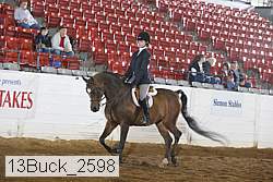 13buck_2598 thumbnail