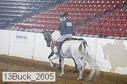 13buck_2605 thumbnail