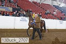 13buck_2707 thumbnail