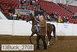 13buck_2708 thumbnail