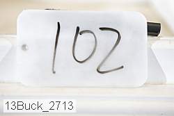 13buck_2713 thumbnail