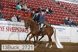 13buck_2721 thumbnail