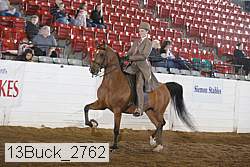 13buck_2762 thumbnail