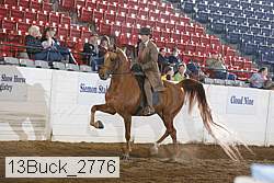 13buck_2776 thumbnail
