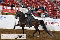 13buck_2803 thumbnail