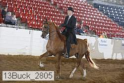 13buck_2805 thumbnail