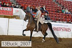 13buck_2807 thumbnail