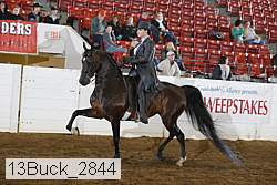 13buck_2844 thumbnail