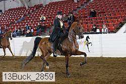 13buck_2859 thumbnail