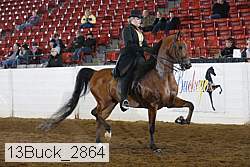 13buck_2864 thumbnail