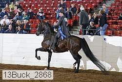 13buck_2868 thumbnail