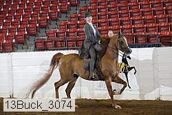 13buck_3074 thumbnail
