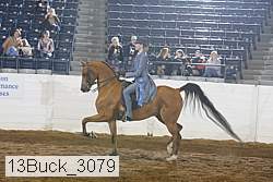 13buck_3079 thumbnail