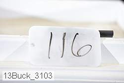 13buck_3103 thumbnail