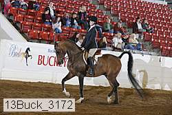 13buck_3172 thumbnail