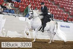 13buck_3200 thumbnail