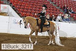 13buck_3217 thumbnail