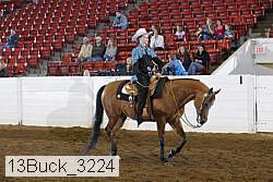 13buck_3224 thumbnail