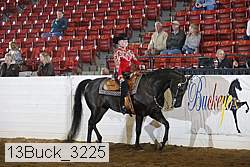 13buck_3225 thumbnail