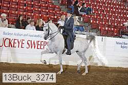 13buck_3274 thumbnail