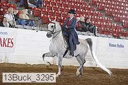 13buck_3295 thumbnail