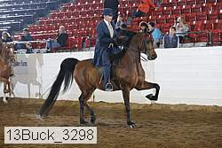 13buck_3298 thumbnail