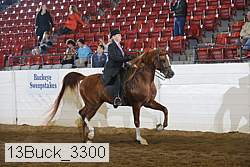 13buck_3300 thumbnail