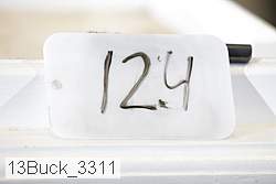 13buck_3311 thumbnail