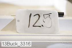 13buck_3316 thumbnail