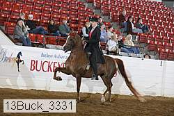 13buck_3331 thumbnail