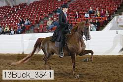 13buck_3341 thumbnail